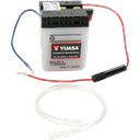 6N4-2A-4 CONVENTIONAL 6 VOLT