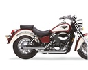 COBRA  1271