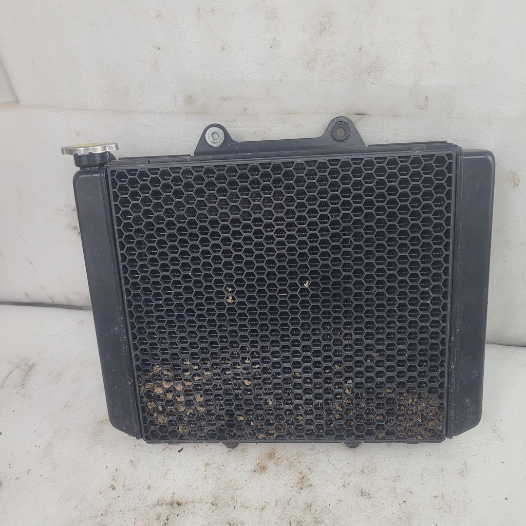 [CF03033] radiator assy