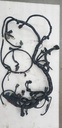 Harness, Main (inc. 11-19)