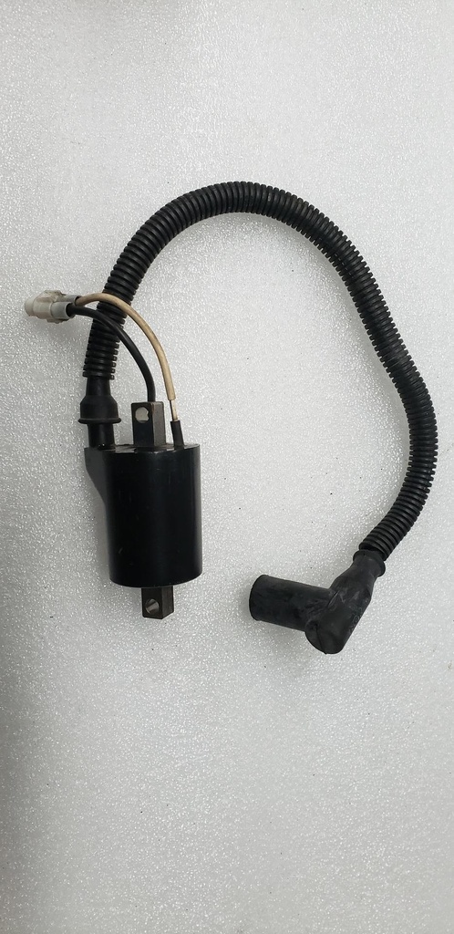 ignition coil w/ cap