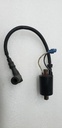 COIL-IGN,DC-SDI,LE,PTO