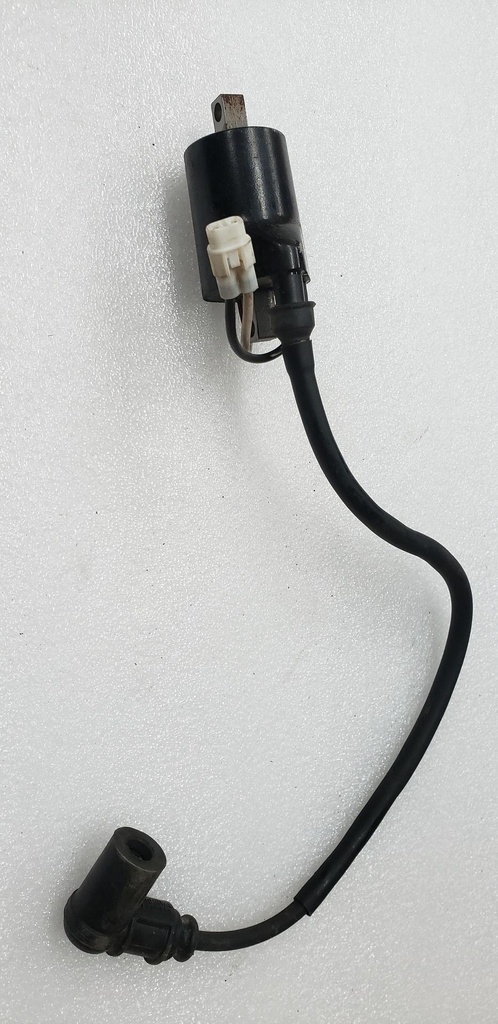 COIL-IGN,DC-SDI,LE,MAG