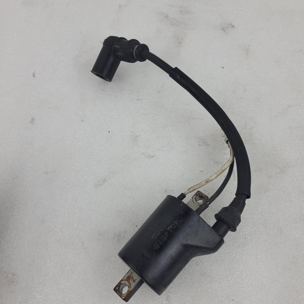 [4014515-001] coil-ign,dc-sdi,w/zip tie,mag (4014515-001)
