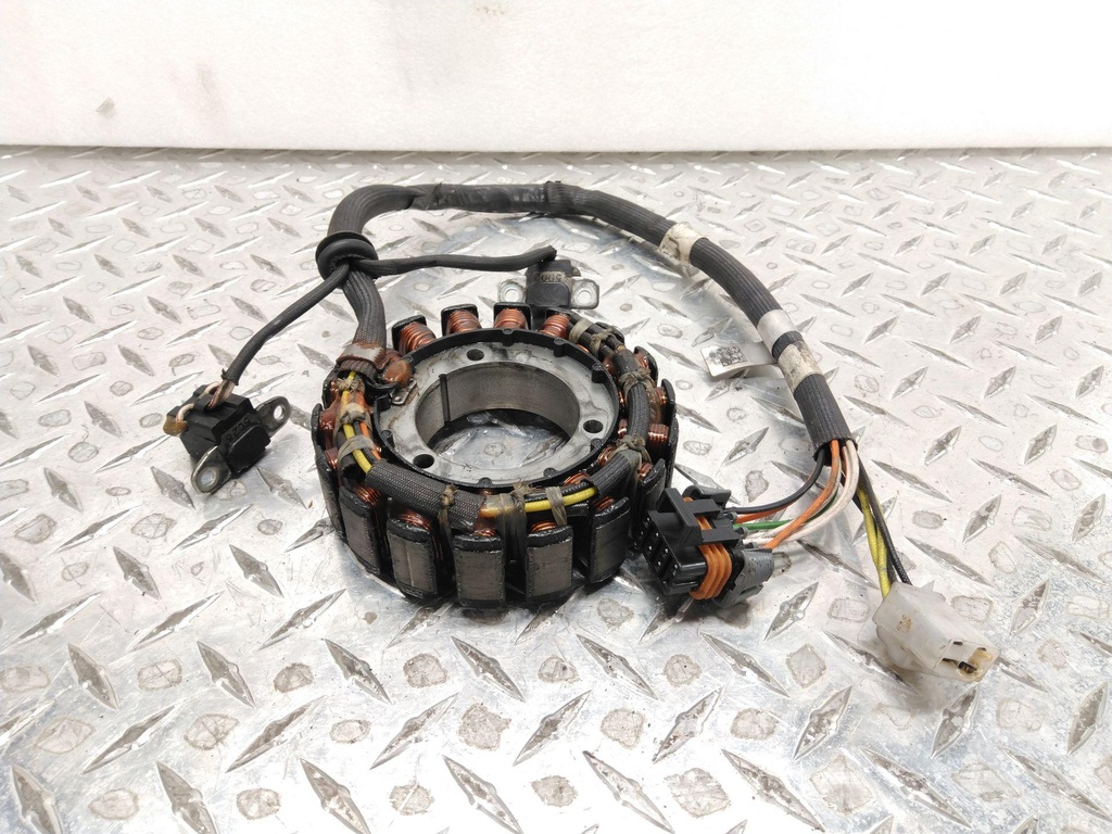 stator 600 race