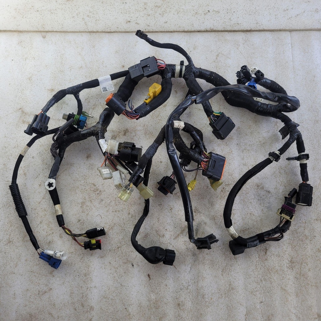 MAIN-HARNESS