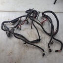 HARNESS MAIN WIRE