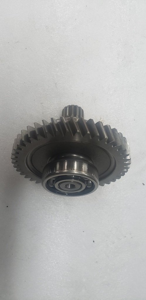 GEAR-BRAKE 43T (286210)