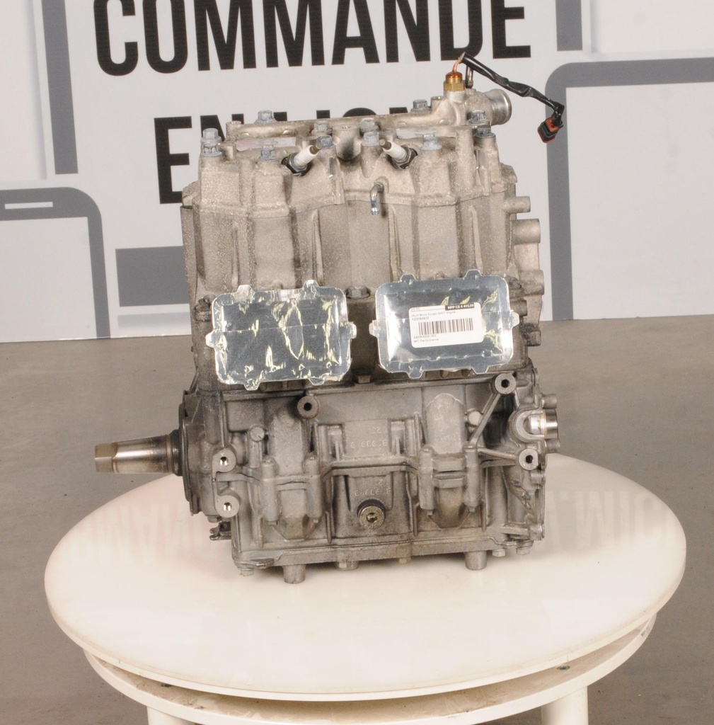 (new ref. 420084914) short block except shot engine