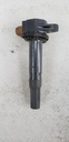 Stick Coil Exhaust emissi - 420665811 SKI DOO