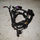 engine harness shot