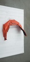 (new ref. 502007173) orange race bottom pan cap model-orange-orange