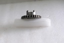 gear straight 29 teeth ass'y