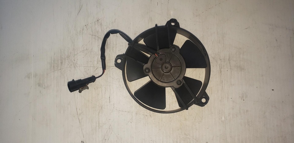 fan