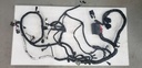 Wire Harness Assy - 8LJ-H2590-00-00 YAMAHA