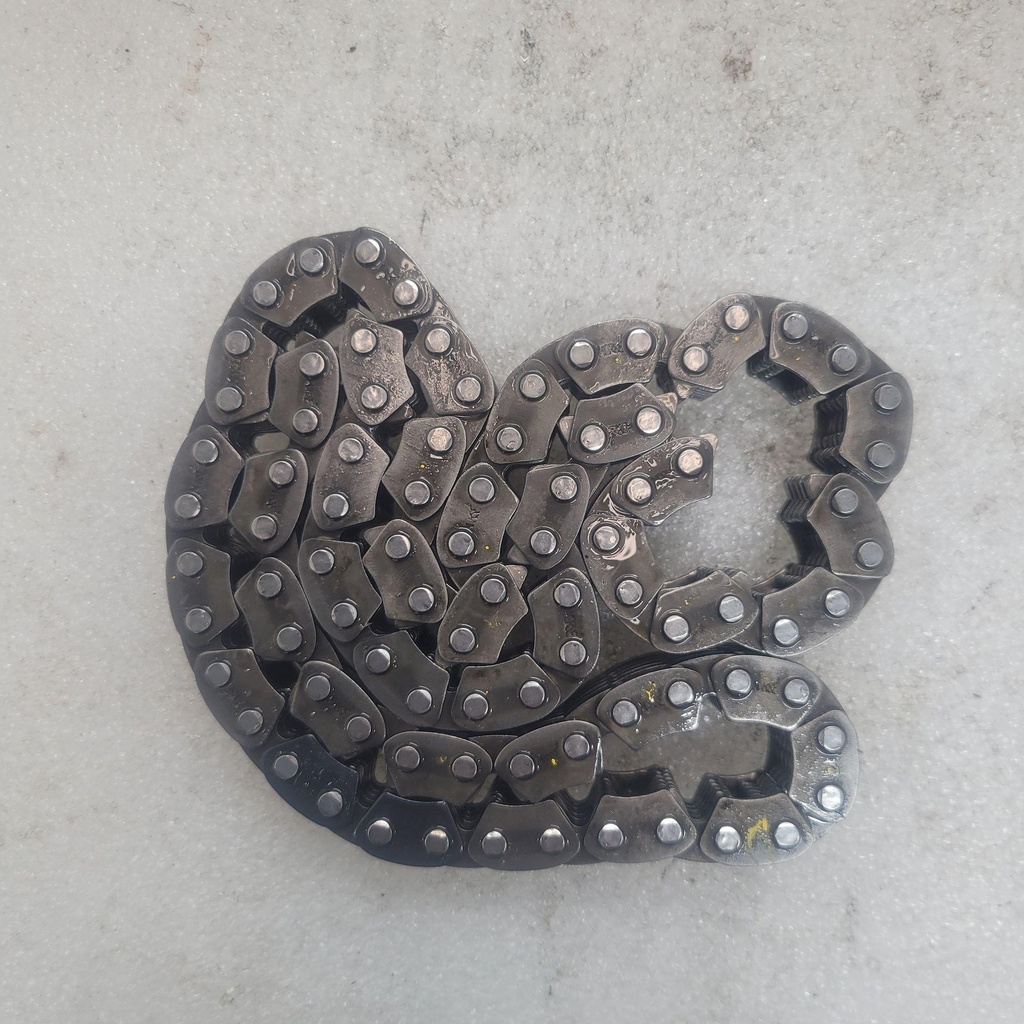 chain, bwa 13 (86l)
