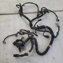 Main Harness M8