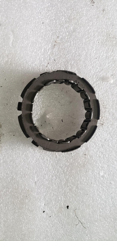 [420259070-001] Sprag Clutch (420259070-001)