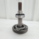 input shaft