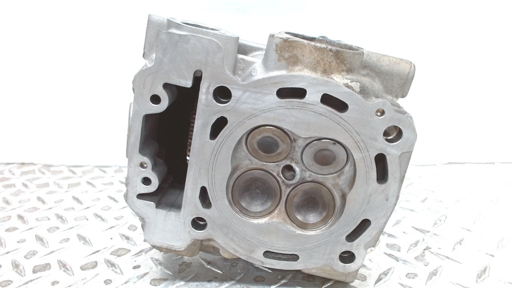 [420613530-001] Cylinder Head Ass'y