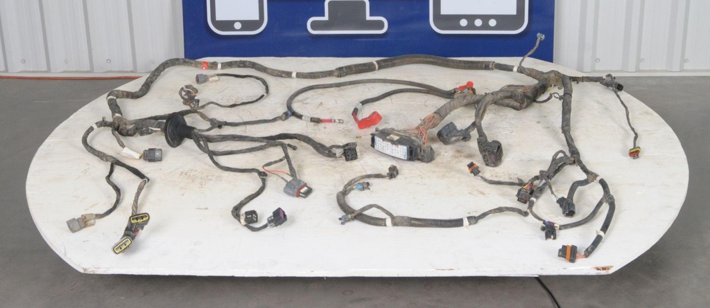 CHASSIS HARNESS, TURF, RZR