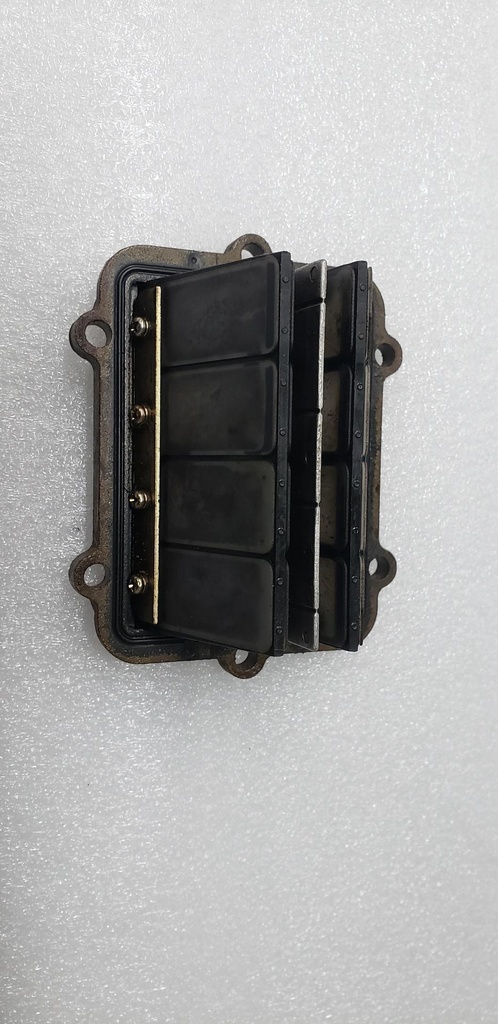 reed valve assembly