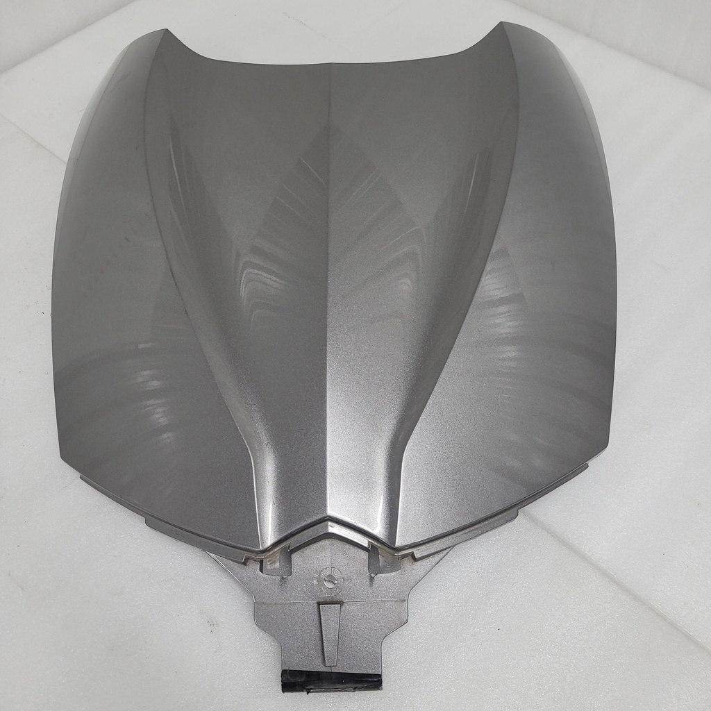 hood, metallic magnesium rs, magnesium model