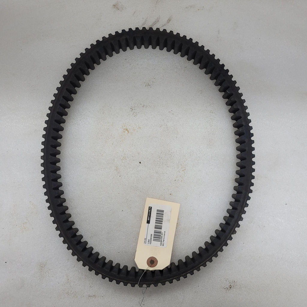 [422280366-001] V-Belt