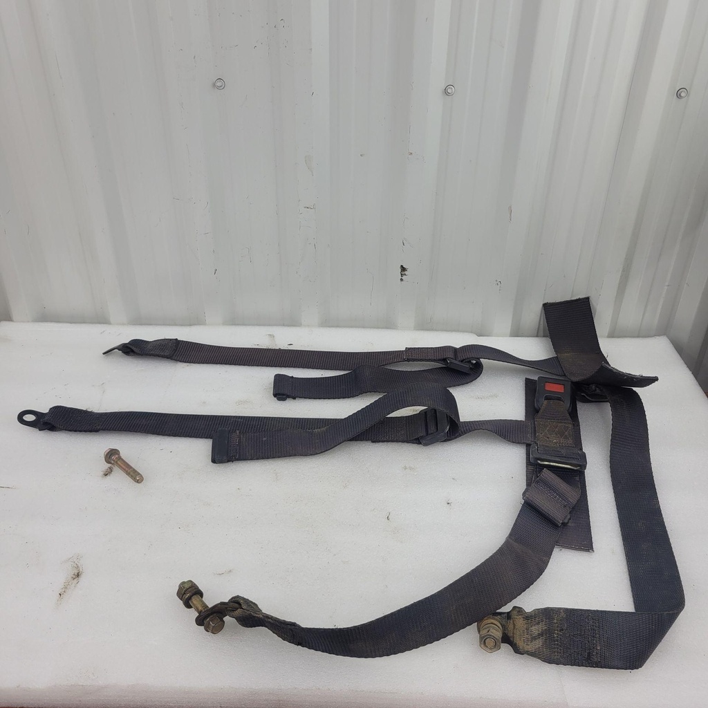 [CF00701] seat belt, passenger