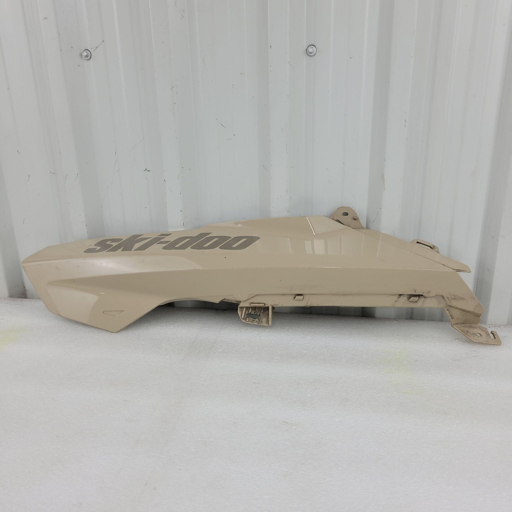 [517307850-001] northern lichen, lh front hood
