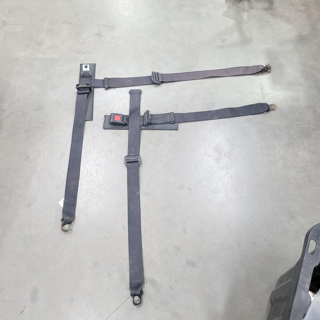 [CF01295] seat belt, passenger