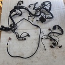 HARNESS MAIN