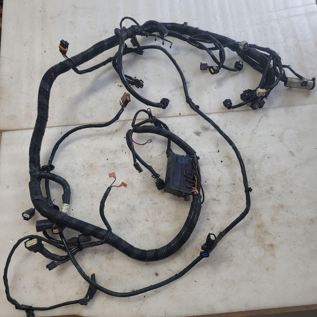 [1686-611-001] Harness, Main